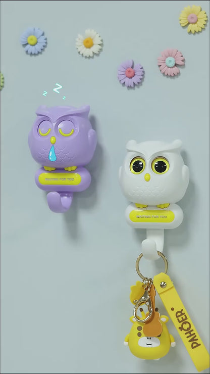 Creative Owl Magnetic Key Hook